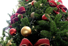 Tradice vánočního stromu je v Břeclavi již 100 let